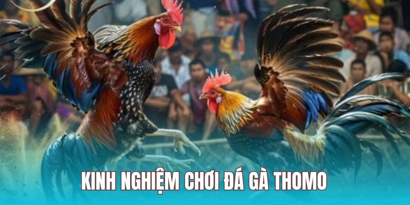 Sử dụng kinh nghiệm linh hoạt khi trải nghiệm sản phẩm